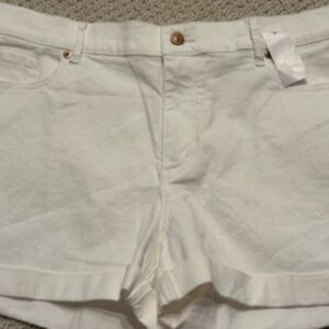 Ann Taylor Loft Shorts (32/14) NWT